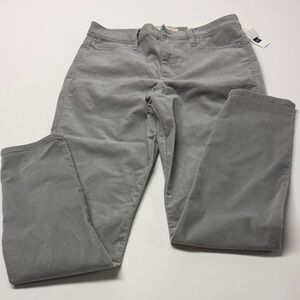 GAP women’s  Light Gray super high rise /skinny gray velvet pants